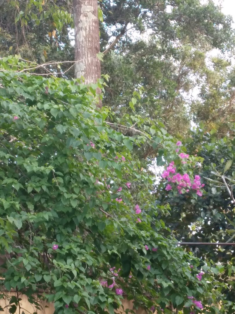 chưa sd. giao nhanh, đóng gói cẩn thận. nhà sách uy tín