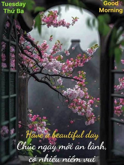 Sách tốt, hữu ích, nhiều giá trị văn hóa. Cám ơn Phương Nam Books.