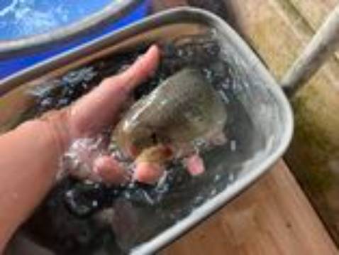 Chưa sử dụng nên chưa biết poiuytrewqsafhklmbvcz