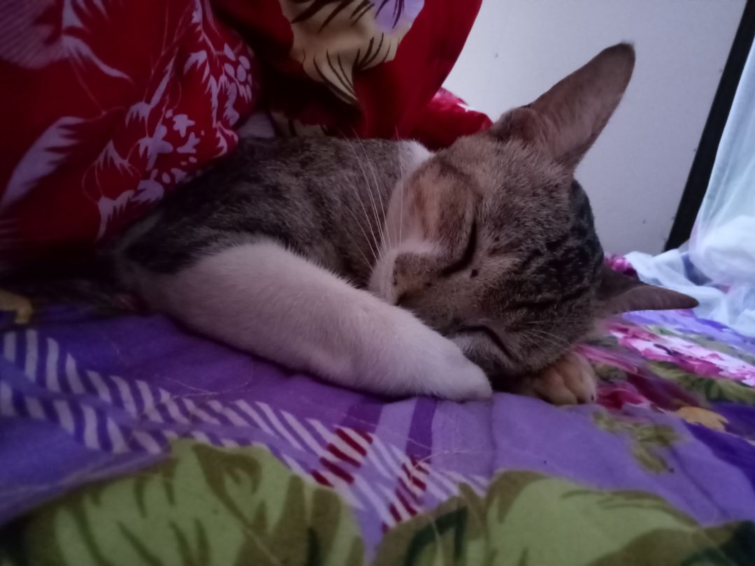 sp đóng gói chắc chắn, còn về chất lượng chưa dùng nên chưa biết có hiệu quả hay không thời gian sẽ đánh giá chất lượng sau