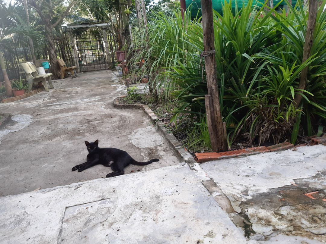 Sản phẩm chất lượng, bé thích uống nhưng có vẻ hộp giấy mỏng hơn các hãng khác, cầm nhẹ đã móp méo.