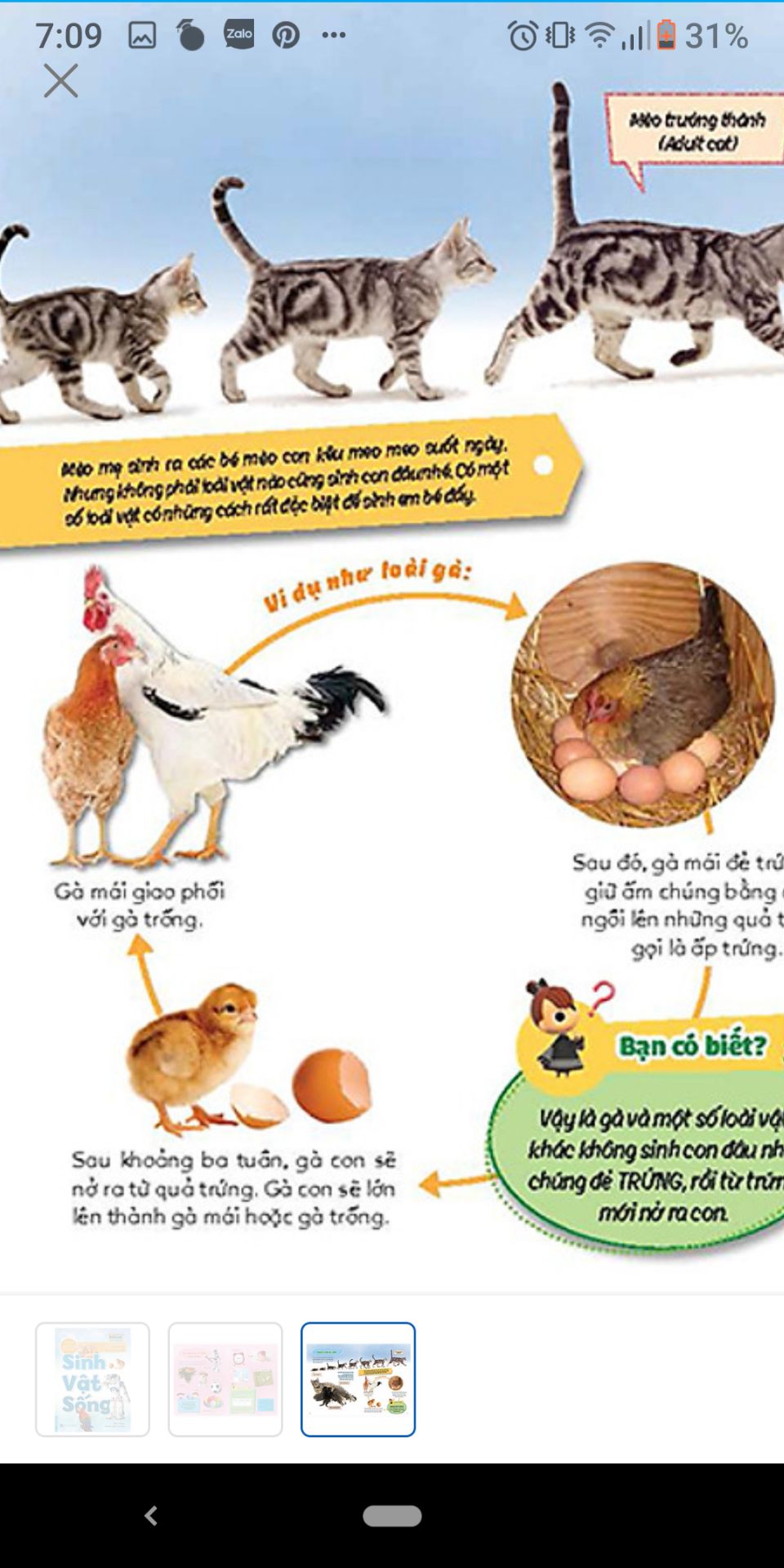 mình rất thích những quyển sách dạng này giúp con khám phá, dễ hiểu..