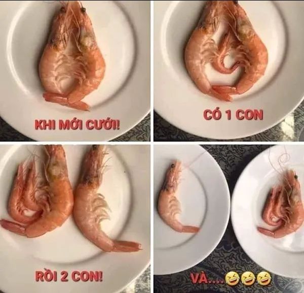 chất lượng tốt. có mã giảm giá. giá rẻ. sẽ ung r hộ tiếp.