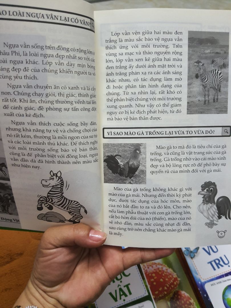 Sách vừa đẹp, chữ rõ ràng dễ đọc. nội dung phong phú phù hợp với lứa tuổi tiểu Học. Bé nhà mình thích đọc. Có một điều là hình ảnh trong từng nội dung không có màu, nên con trẻ sẽ không phân biệt đc vật đó hoặc quả đó có màu gì. và nhất là quyển về con người. con không biết từng bộ phận bên trong của con người có màu gì nên hỏi Mẹ hoài phải tốn thời gian giải thích. Cảm ơn Bạn