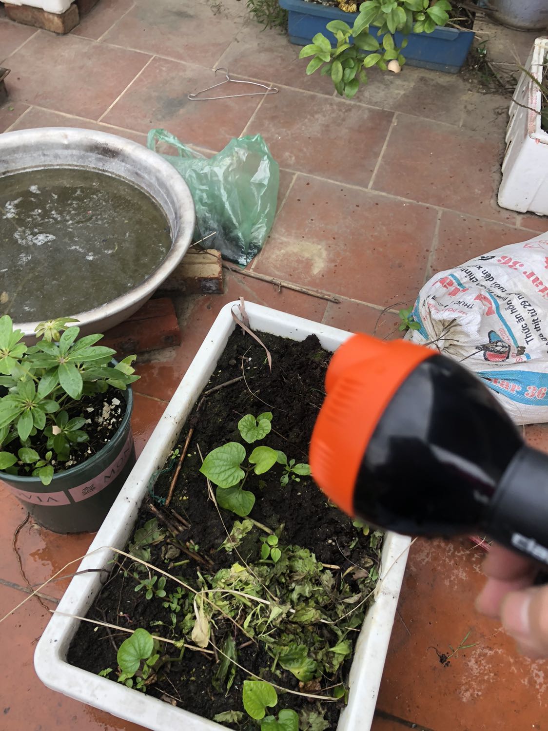 Vòi phun được có 3 chế độ thôi còn lại là chế độn phun tạo bọt không tạo bọt mà lại chảy dòng dòng như nước máy vặn vòi ra 
  - t1 dây cứng mà hộp để cuộn dây bằng nhựa lỏng lẻo mất thời gian cuộn dây 
  - t2 lúc tưới phải rỡ hết dây nếu không sẽ không kéo được dây ra 
 - t3 vòi yếu nếu dùng tia để phun xịt rửa sân sẽ không bằng được máy bơm điện 
So giá trị tiền khá đắt