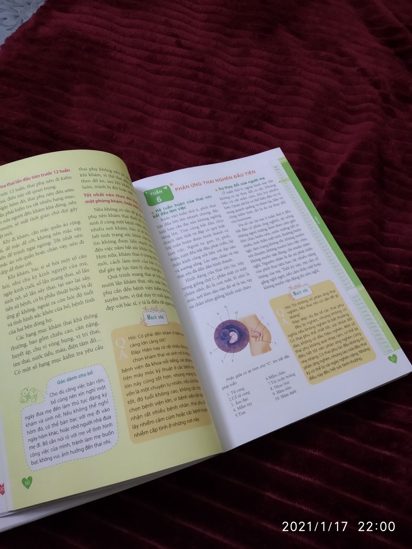 Thật sự thì mình đánh giá quyển Bách khoa màu vàng. Nó viết chi tiết, giải thích cặn kẽ nhiều. Mọi người nên mua cuốn đó, còn cuốn còn lại không cần thiết.