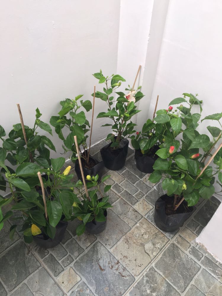 Sản phẩm chất lượng, không gặp vấn đề nào, sẽ ủng hộ thêm sản phẩm của shop