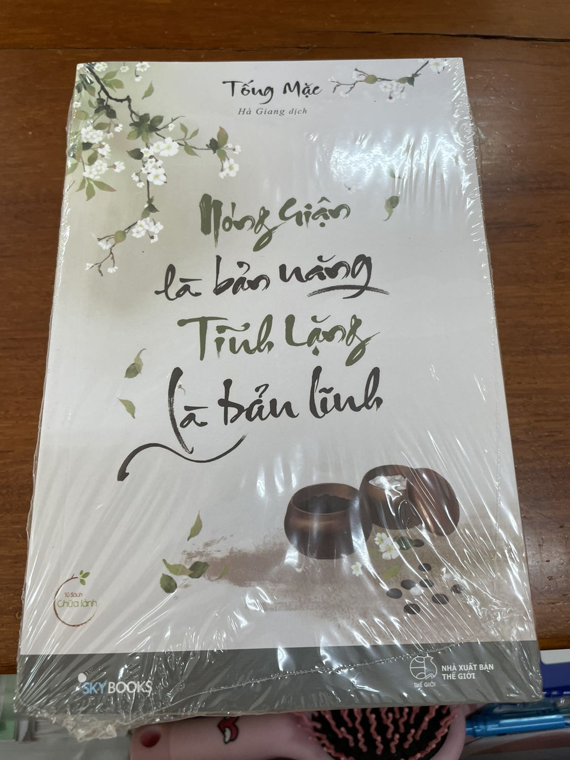Review sách Nóng giận là bản năng,Tĩnh lặng là bản lĩnh - Tống Mặc 6 Tĩnh lặng là bản lĩnh 2