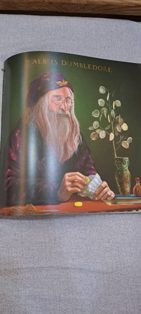 Theo quan điểm của tôi, các potterhead có thể đọc để biết bộ Harry Potter đã được lấy cảm hứng từ đâu, xem những bản thảo của cô Rowling, hình vẽ, một vài phần truyện bản thảo ngắn không có trong bộ. Nếu mong chờ sẽ hé lộ nhiều về lịch sử pháp thuật trong thế giới Harry Potter thì không có nhiều, chủ yếu là về những truyền thuyết, câu chuyện liên quan đến pháp thuật ở trong lịch sử con người. Những hình ảnh và tranh trong này cũng rất đẹp.