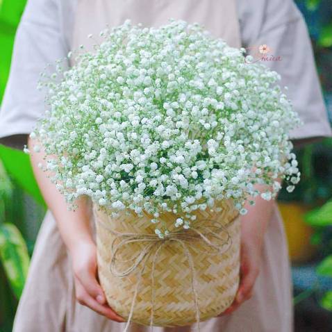 mình nấu cháo cho con, mùi rất thơm, trộm vía bé rất thích