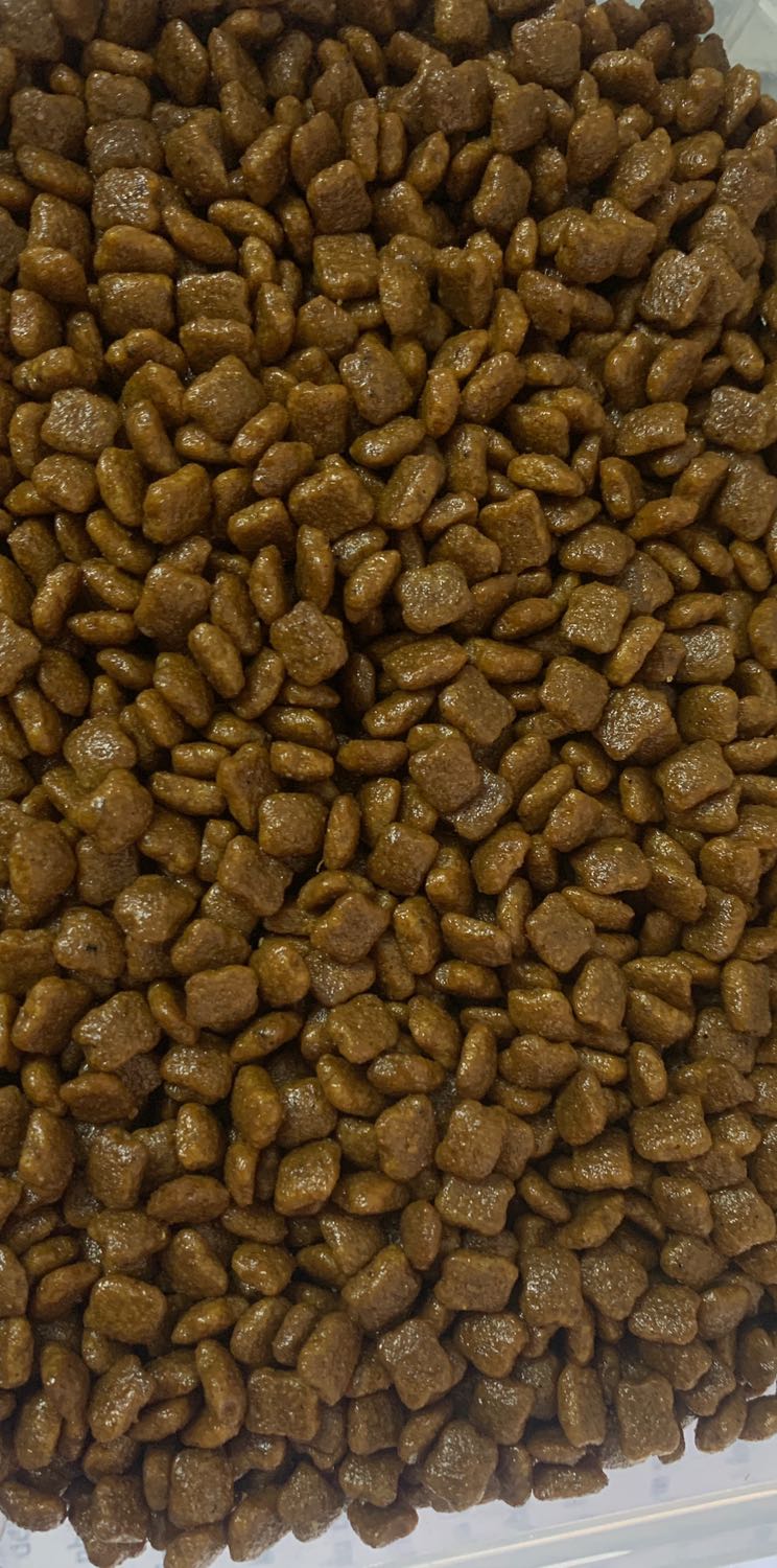 Mèo nhà mình ăn khá ngon nhéeeee