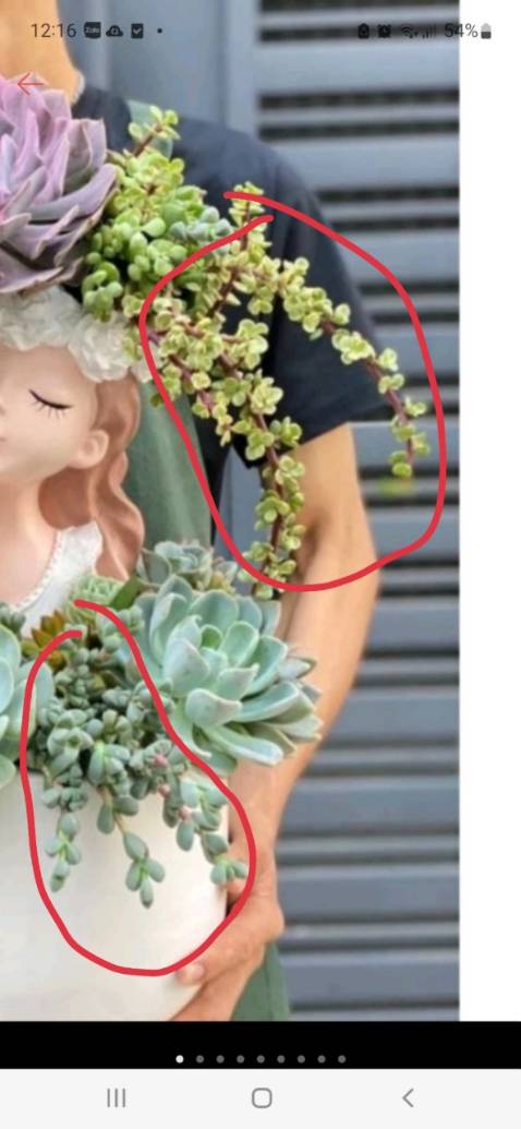 Nhẹ. Mềm. Hàng VN như thế là ok