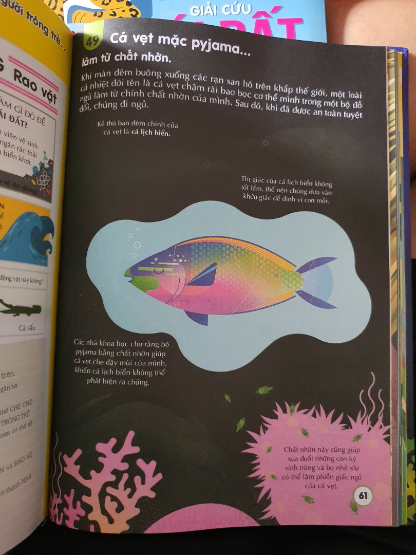 - Nội dung: giới thiệu tổng quan, và chi tiết về thế giới đại dương, các sinh vật biển độc lạ, những điều kì lạ về đại dương. 
- Sách được gia công bìa cứng, tạo cảm giác cầm chắc tay, trang sách in màu, chưa được giấy bóng. 
- Giá: hơi cao so với các cuốn như lịch sử, khoa học, vũ trụ....