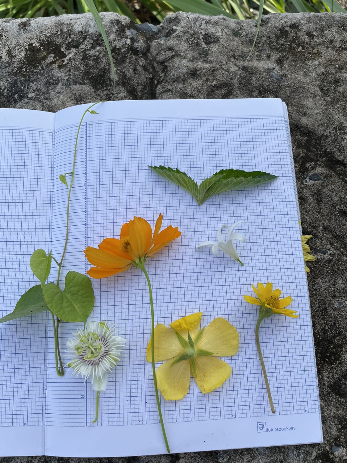 Sản phẩm tốt, dùng không bị nhờn rít, mùi thơm nhẹ, shop giao hàng nhanh, đóng gói cẩn thận