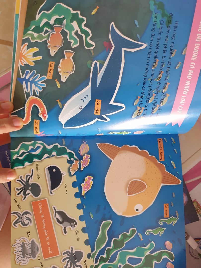 Bài 6 con đặt câu để nói về đồ dùng học tập. Bộ phận thứ nhất con muốn nói về đồ vật nào thì ghi vào cột 1. VD: Chiếc hộp bút của em