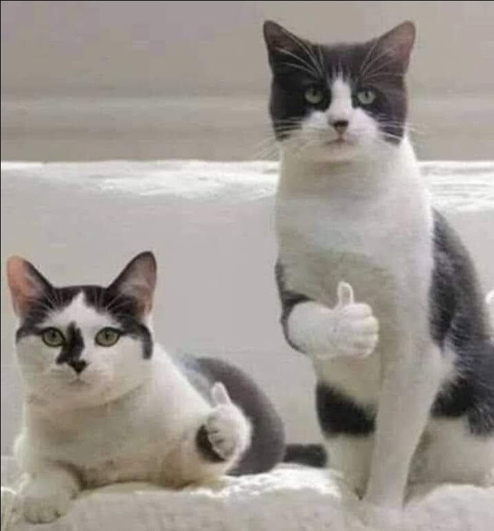 nội dung cuốn này khá ổn, câu chuyện mới mẻ hơn so vs những quyển trc, chủ yếu về cuộc sống lao động cơ cực, bình dị giữa chốn hoa lệ Sài Gòn...đoạn đầu khá ok mà về sau khúc gần cuối hơi rối xíu 🤨 về đóng gói tiki luôn bọc hàng cẩn thận, sách có bọc nilon nên mới lắm. đc tặng postcard cute ^3^  ship nhanh, hôm qua đặt hnay có ^^