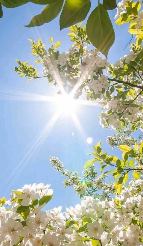 mình thấy sài ok. miếng lót chuột tốt ko bị xe dịch trên bàn nhưng mình thấy dễ dơ và  xuống màu nhưng giá rẻ