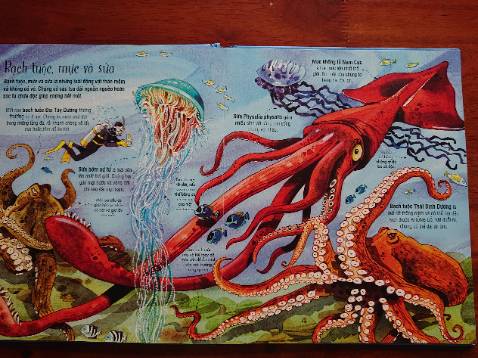 Thông tin cơ bản, minh họa hình vẽ đẹp, sinh động. Thu hút con trẻ. Đáng mua.