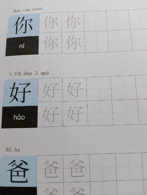 Mẫu chữ in từ máy, thông tin trong sách thì có thể chấp nhận được nhưng để tập viết thì thôi thua