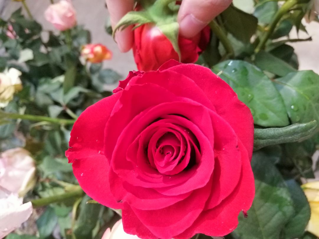 Sản phẩm ngon. Tốt