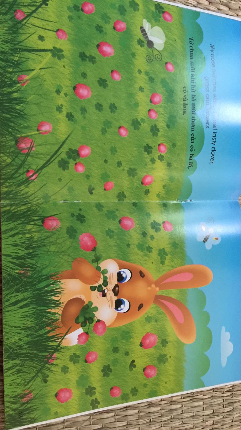 Mới đặt hàng hồi gần trưa mà chiều đã giao tới. Giao hàng nhanh đóng gói đẹp,sản phẩm tốt: Cho 5 sao!!!:)))