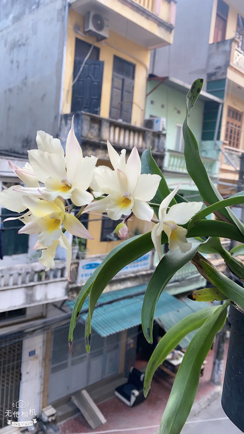 Ok dùng ok lắm ạ. Lần sau sẽ mua tiếp ạ