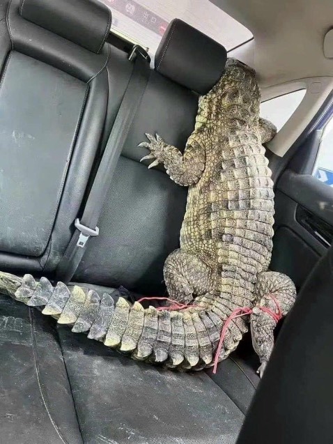 Cộng đồng khách hàng Tiki đang chờ đợi đánh giá của bạn để đưa ra quyết định mua sắm.

Cà Phê G7 2in1 Trung Nguyên (Hộp 15 Gói)