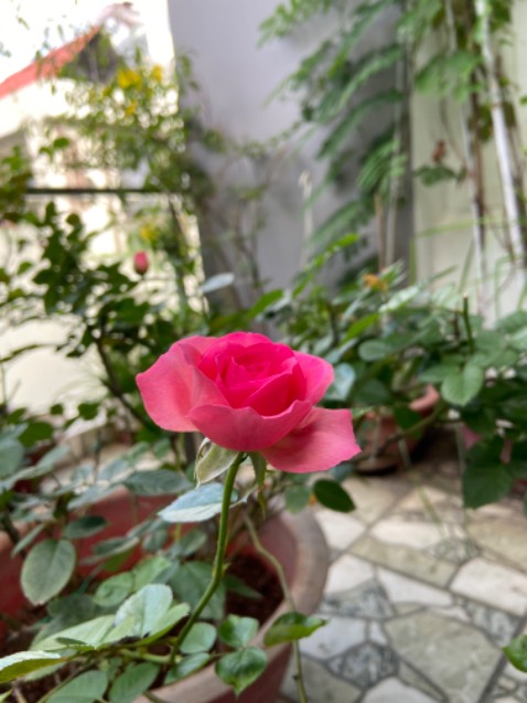 Hàng chuẩn tập đoàn Sunhou mình dùng lần 2 rồi. Rất Ok 
Tiki giao hàng nhanh. Hàng chuẩn tập đoàn Sunhou mình dùng lần 2 rồi. Rất Ok 
Tiki giao hàng nhanh.