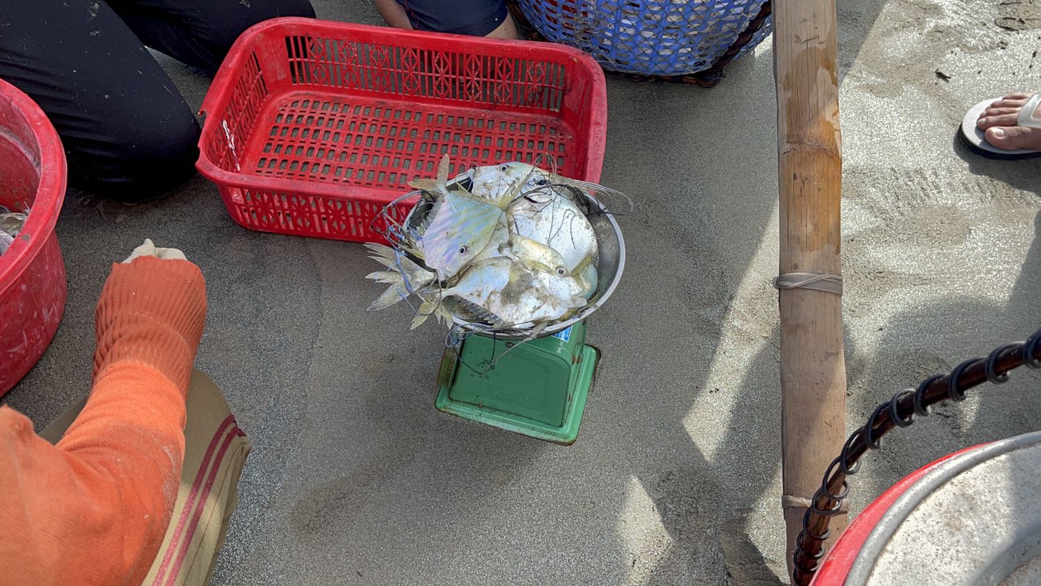 Sản rất tốt. Sản rất tốt.