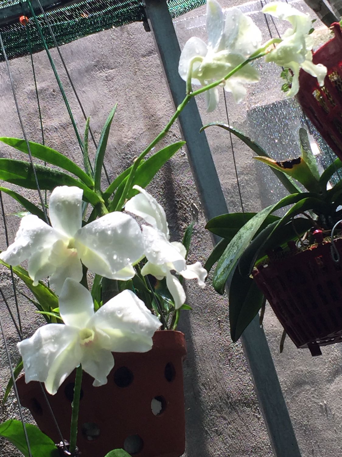 Date mới
Sữa tốt
Hình ảnh ko liên quan chỉ để nhận xu