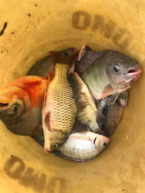 giao đủ sản phẩm giao đủ phụ kiện cần câu khá là chắc chắn đóng gói có hơi ẩu trúc như không sao