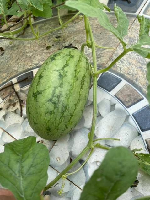 phụ kiện kèm theo rất đầy đủ rất đáng tiền, shop làm việc rất chuyên nghiệp