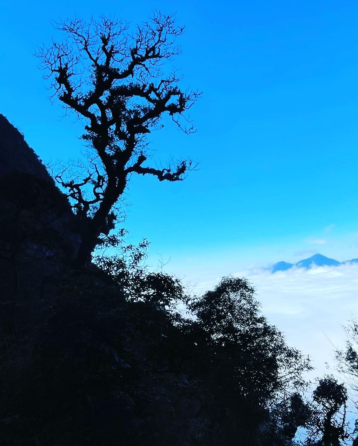 Hàng giao hơi chậm so với mọi khi, nhưng đúng hẹn so với tiki