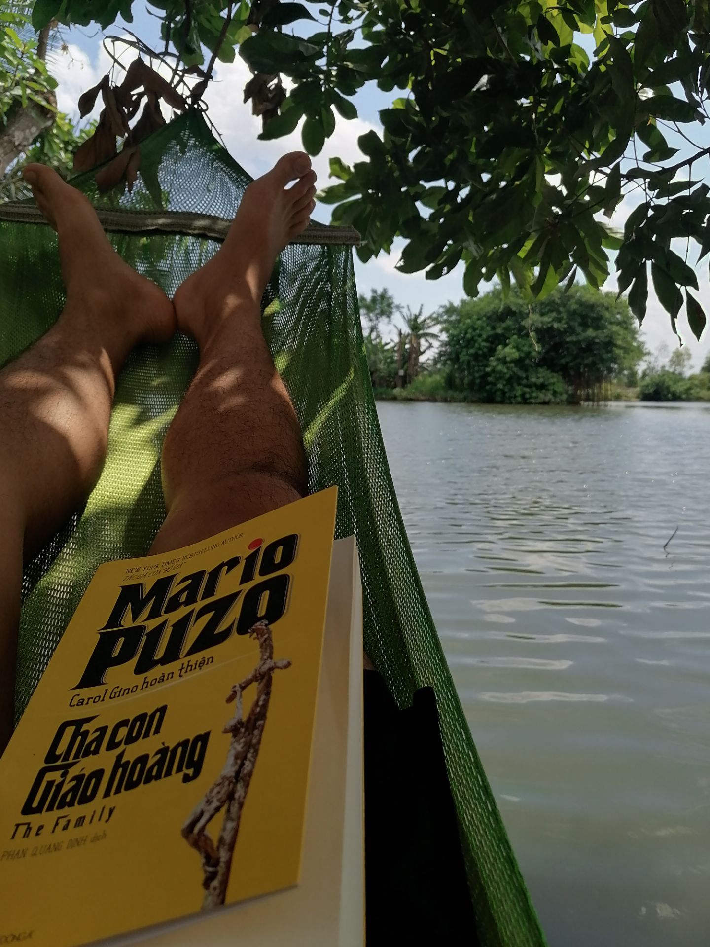 một tác phẩm hay trong tuyển tập về mafia của Mario Puzo, tác phẩm nói về gia đình Borgia-một trong những gia đình đầy quyền lực và tai tiếng nhất nước Ý thời trung cổ. Tác giả đã đem đến một góc nhìn mới mẻ về lịch sử, về cuộc thập tự trinh, những âm mưu thủ đoạn chính trị và những phản trắc thông qua chính các nhân vật trong gia đình này.