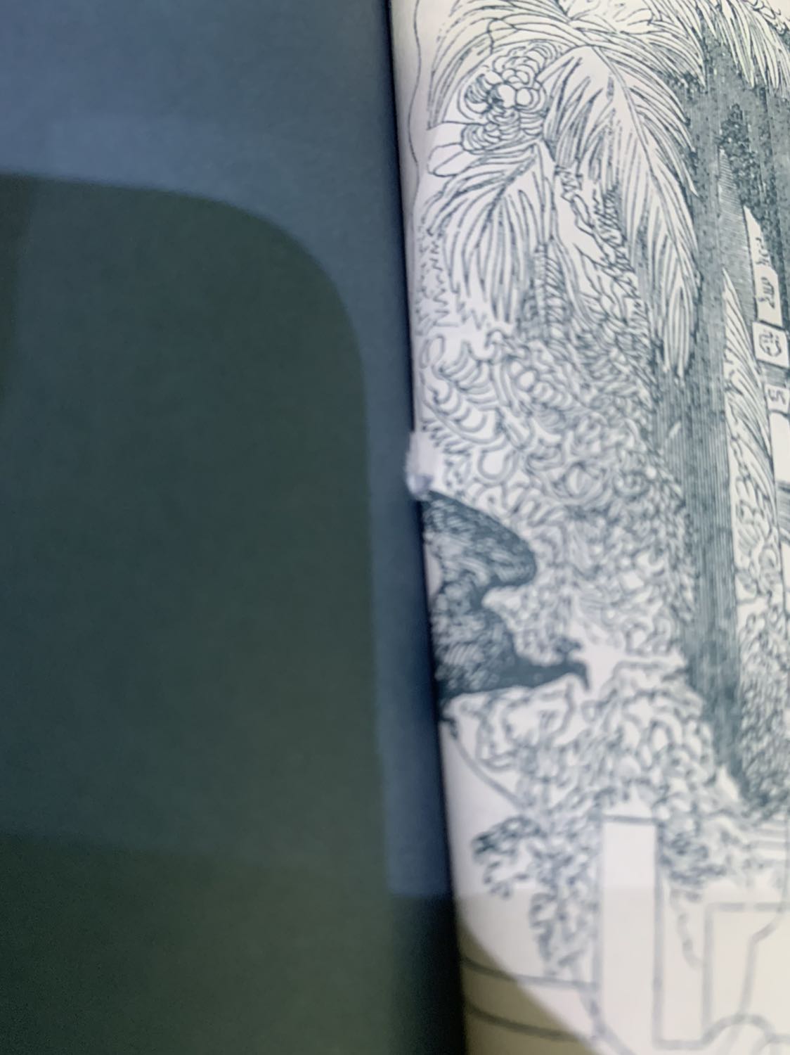 không biết gói sao mà mới giao hộp hàng bị bung keo gói hàng bị hở sách có hơi mớp mấy góc chút đỉnh k đc như mong đợi mong lần sau mua sách đc đóng gói kỉ hơn☹️