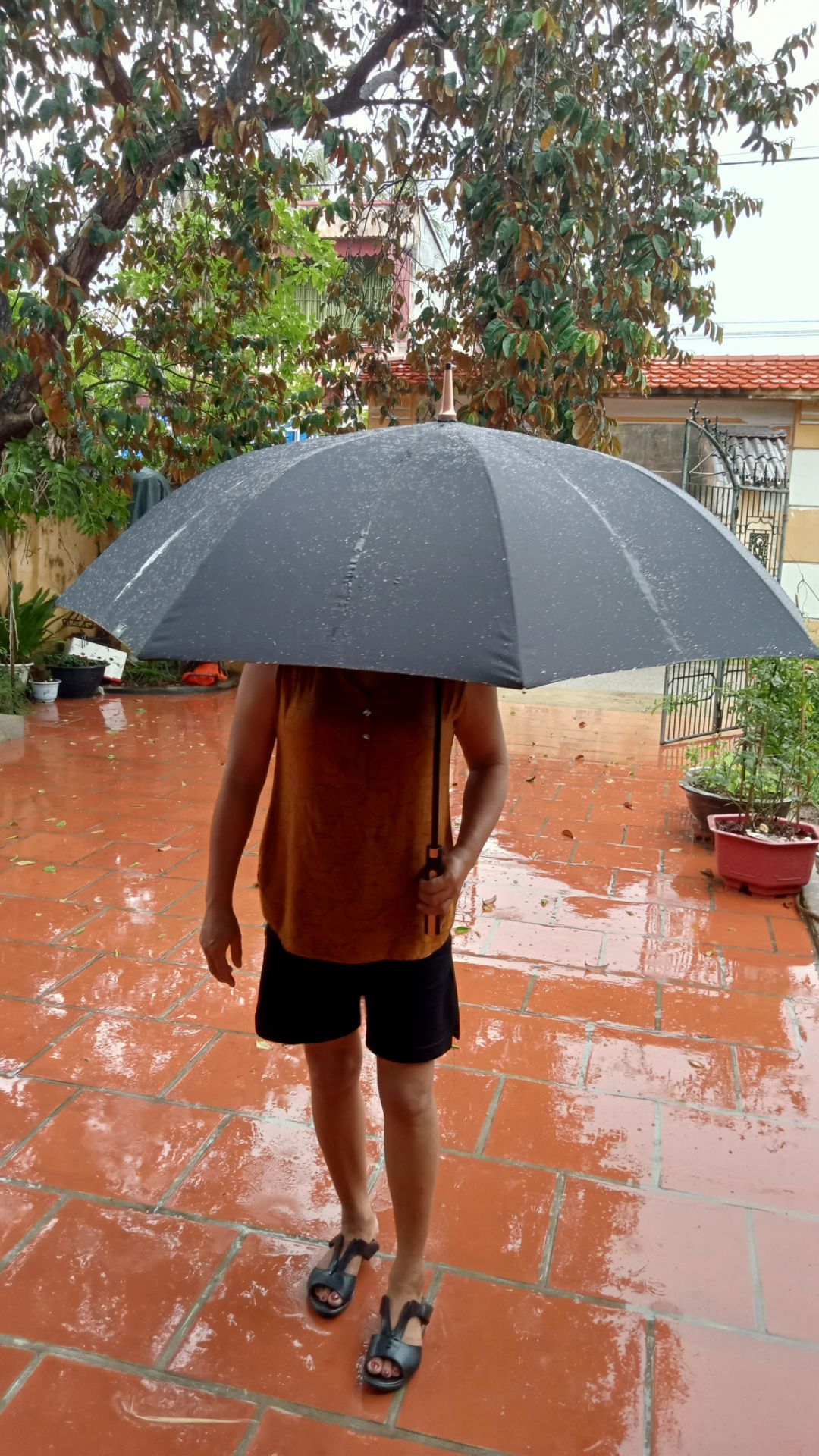 Đi trời mưa thích lắm, dù cầm chắc tay, sang lắm ạ. Che được 2 3 ng thoải mái ạ