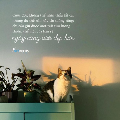 Sách rất đẹp, cháu mình rất mê luôn. Vì mình tặng nên tạm thời không có hình sách Sách rất đẹp, cháu mình rất mê luôn. Vì mình tặng nên tạm thời không có hình sách