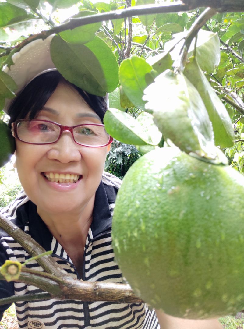 hàng giao đúng mẫu. áo form dài. 4 túi đều có dây kéo nhưng để tiện cho đường may nên túi ngoài thiết kế ngay đường xẻ ben làm mất đẹp. đáng tiếc.