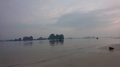 Hôm nay mình dành một buổi đọc hết một mạch cuốn sách. Không biết đã rơi nước mắt bn lần. Thực sự quá hay. Để lại trong mình rất nhiều suy tư và cảm xúc. Một cuốn sách để đọc đi đọc lại rất nhiều lần nữa.