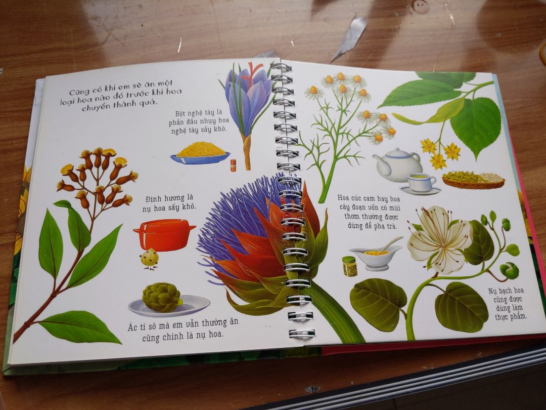 Sách bị thiếu 5 trang plastic ở bên trong (hình đính kèm). Giữa các trang này luôn luôn có trang plastic. Đề nghị liên hệ đổi trả.