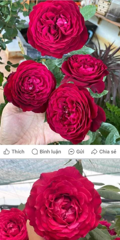 Nhỏ gọn dễ sử dụng chất lượng tốt OK Nhỏ gọn dễ sử dụng chất lượng tốt OK