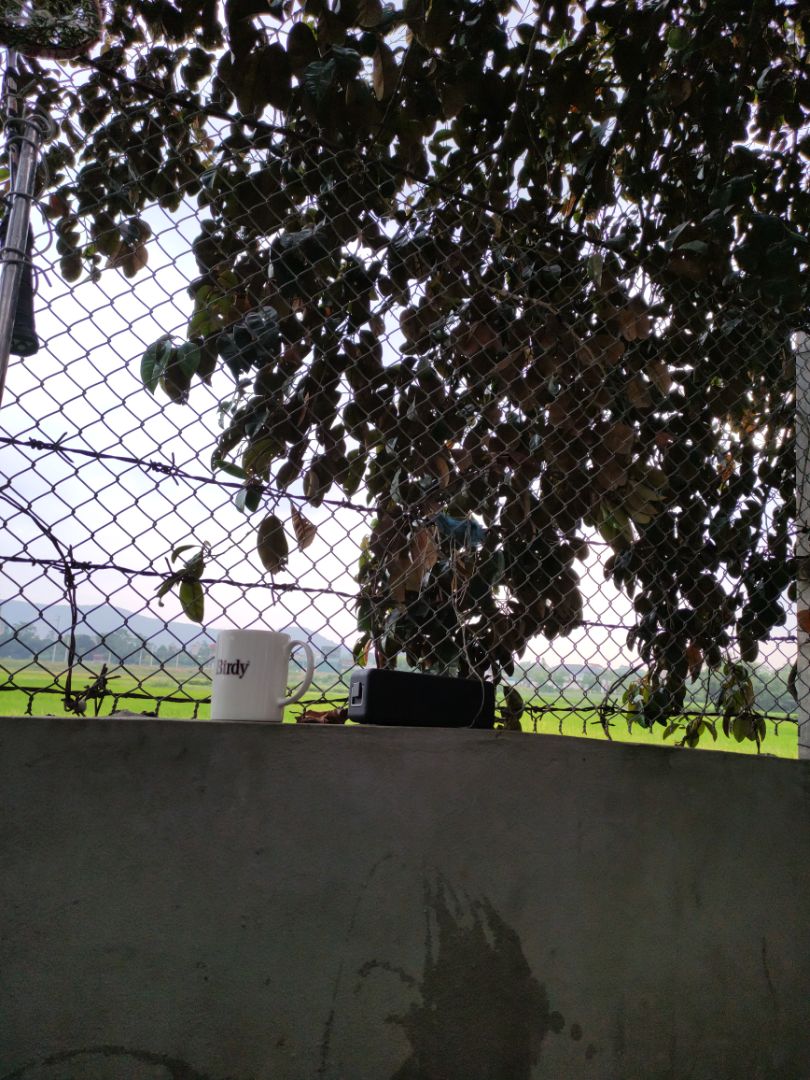 Chất lượng sản phẩm tốt Tiki đóng gói và giao hàng nhanh. Nhân viên tư vấn tuyệt vời. Yêu TiKi vì có tiki now ko phải lo phí vận chuyển Chất lượng sản phẩm tốt Tiki đóng gói và giao hàng nhanh. Nhân viên tư vấn tuyệt vời. Yêu TiKi vì có tiki now ko phải lo phí vận chuyển