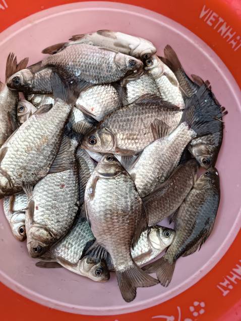 Giao hàng nhanh, đầy đủ như mô tả, còn chất lượng thì sử dụng 1 thời gian mới biết đc