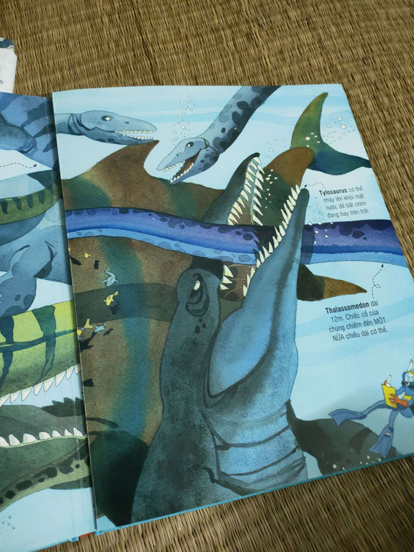 hình ảnh sắc nét . tùy nhiên có những hình minh hoạ nhìn rất dữ tợn . có vẻ ko hợp lắm với bé 3,5 tuổi như bé nhà m