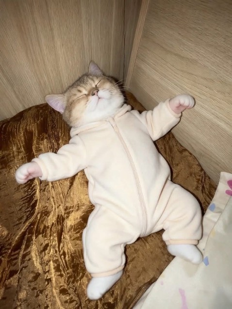 Giao hàng nhanh, date dài.