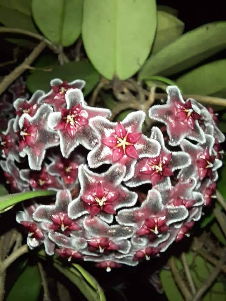 nói chung là đọc dc