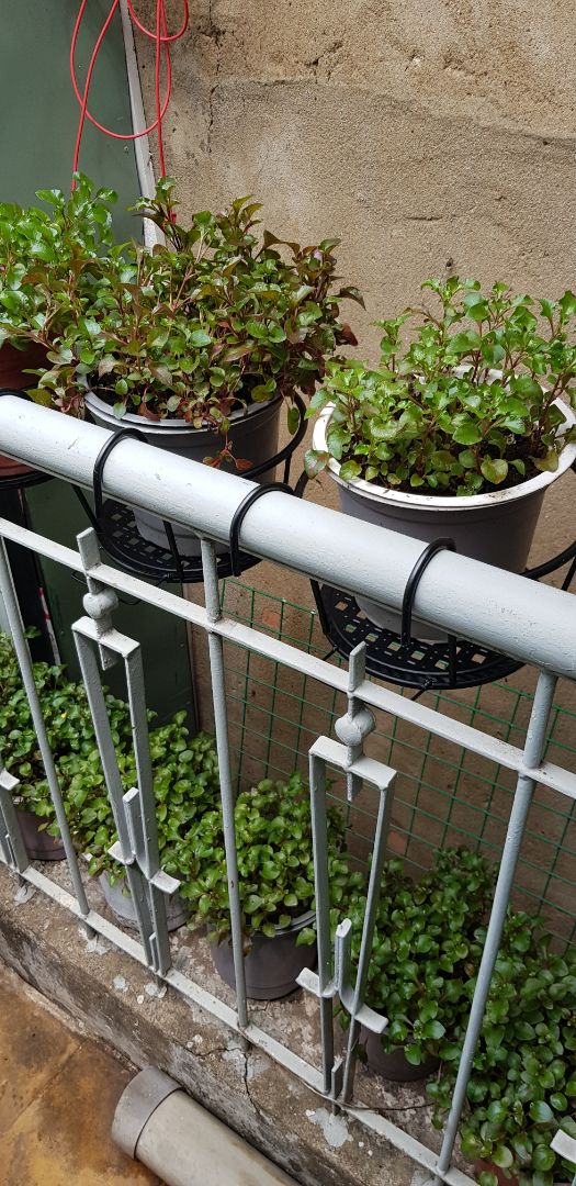 rất tiện.  đẹp