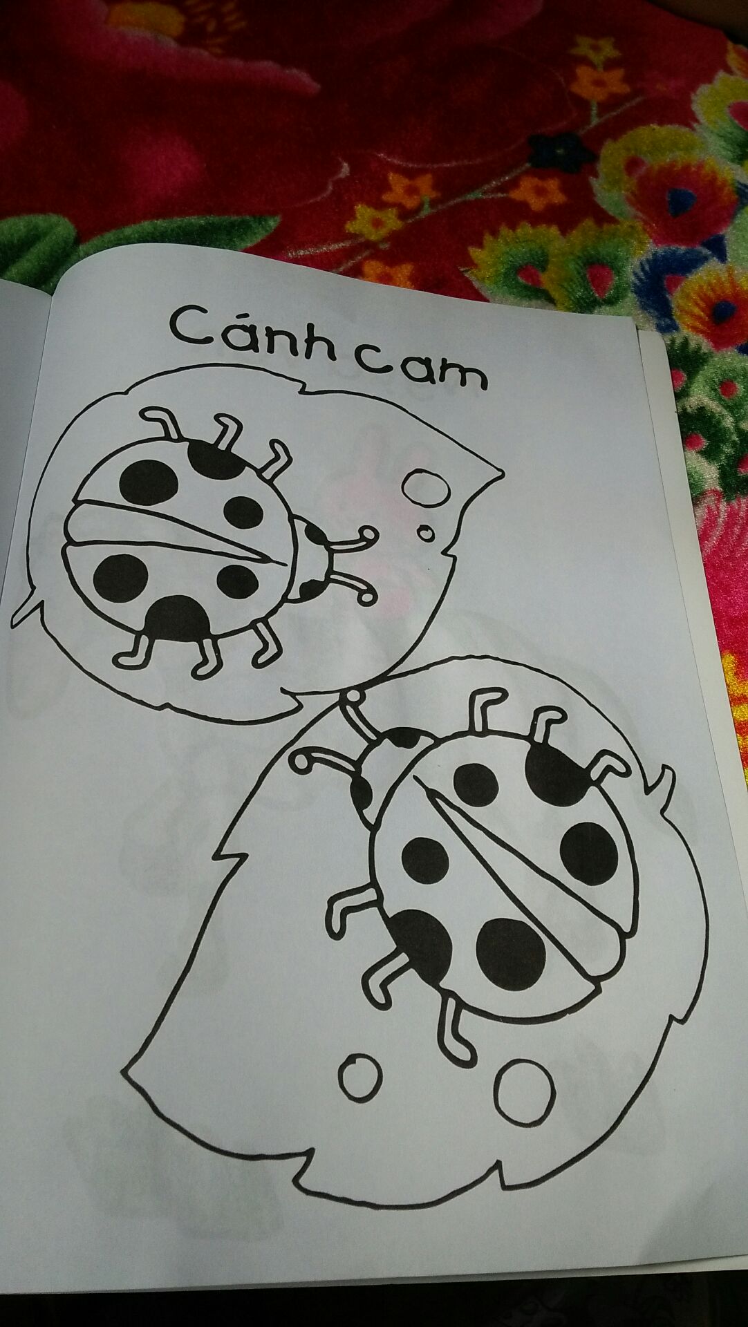 của fahasa thì đơn nhiên 5 sao rồi 
vận chuyển tốt!