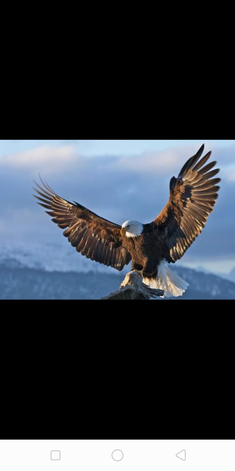 giá rẻ, nhưng sách có bìa cứng  ,nội dung rất giá trị cho việc tham khảo, tìm hiểu giá rẻ, nhưng sách có bìa cứng  ,nội dung rất giá trị cho việc tham khảo, tìm hiểu