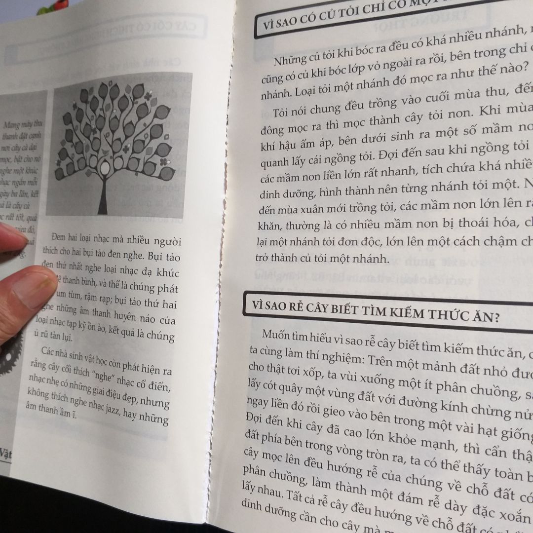 Trước tiên mình xin đánh giá về trải nghiệm mua hàng lần này của mình.
1: giao hàng thì trước thời hạn (20/10/2020) cái này thì ok nha. Nhưng bên giao hàng lại không phải là nhân viên của tiki cái này mình không thích nha.
2: Trước tiên thì sách có bọc nilon mà hình như có ai đó đã xé ra, cái này mình thật sự không hài lòng. Sách mua 1 bộ 5 cuốn mà có 2 cuốn bị lỗi rồi (1 quyển về thực vật, 1 quyển về con người) trong đó cuốn thực vật bị nặng nhất vì 1 chút xíu nữa là trang giấy bung ra khỏi gáy sách, cuốn về con người thì bìa bị bung ra.
Hy vọng tiki sẽ đổi lại cho mình 2 quyển bị lỗi nói trên. Chân thành cảm ơn tiki